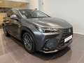 Lexus NX 450h+ Executive Line Grau - thumbnail 2
