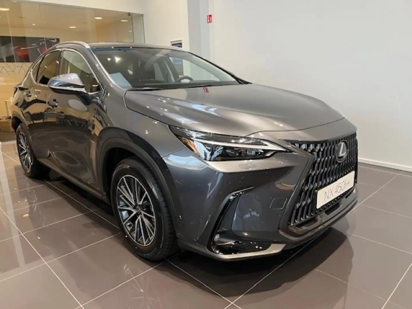 Lexus NX 450h+ Executive Line Grau - 2