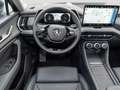 Skoda Kodiaq 2.0 TDI DSG 4x4 Selection Area-View, AHK Gris - thumbnail 14