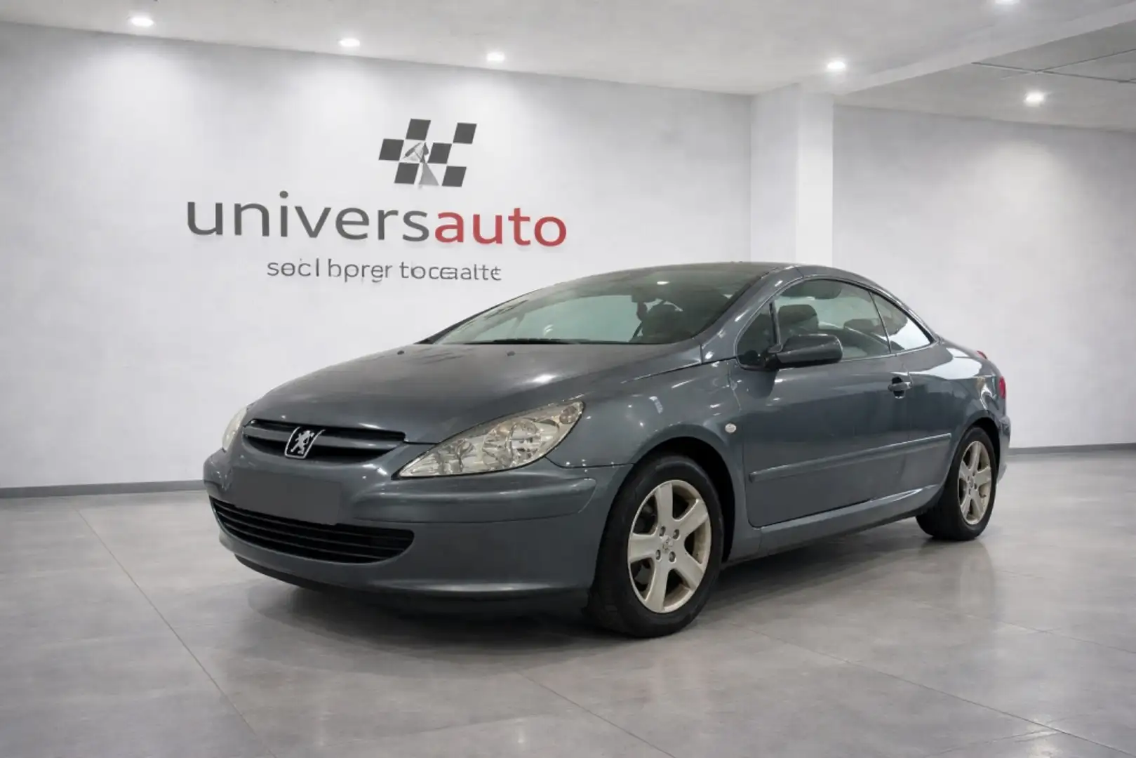 Peugeot 307 CC 2.0 Gris - 2