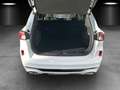 Ford Kuga 2.5 ST-Line Aut./LED/KAMERA/ACC/PANO/HUD/ Blanco - thumbnail 17