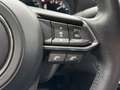 Mazda 6 184PS Sports-Line Plus-Paket AT+GSD+LEDER+NAVI+KLI Rood - thumbnail 13