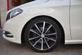 Mercedes-Benz B 180 CDI 7G-DCT Weiß - thumbnail 7