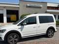 Volkswagen Caddy ALLTRACK 4X4 2.0TDI 122 CV Bianco - thumbnail 3