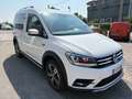Volkswagen Caddy ALLTRACK 4X4 2.0TDI 122 CV Bianco - thumbnail 8
