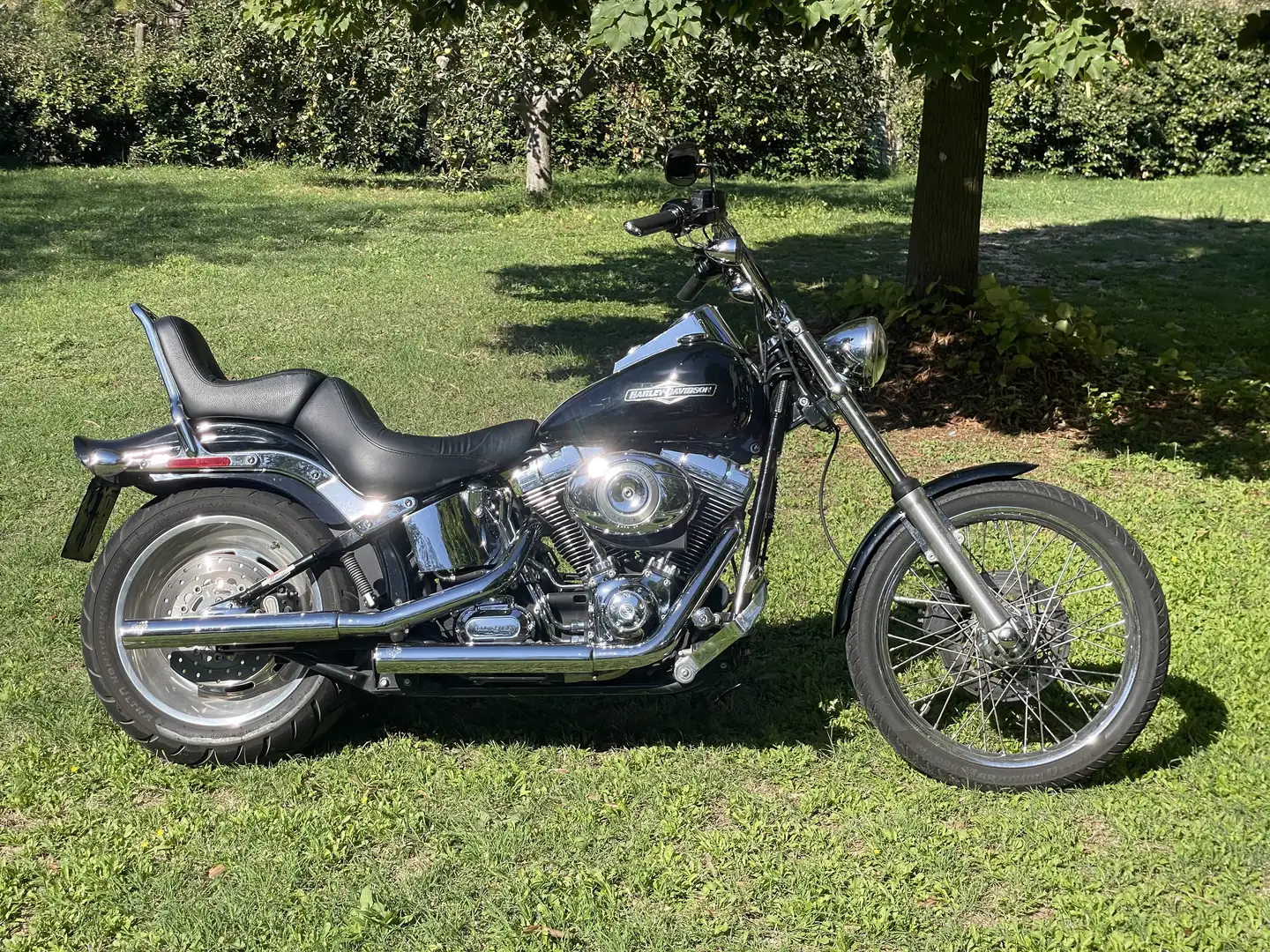 Harley-Davidson Softail FXSTC - 1