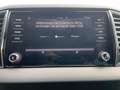 Skoda Karoq Style 2.0 TDI DSG 4x4  Navi,Klima,LED,AHK Grau - thumbnail 14