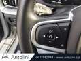 Volvo V60 D4 Geartronic Business Plus "Cerchi in lega da 19" Grigio - thumbnail 15