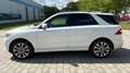 Mercedes-Benz ML 350 CDI BlueTec 4_matic Panorama AMG-Sportpak Blanc - thumbnail 3