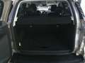 Ford EcoSport 1,0 EcoBoost Trend Beige - thumbnail 6