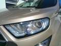Ford EcoSport 1,0 EcoBoost Trend Beige - thumbnail 11