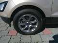 Ford EcoSport 1,0 EcoBoost Trend Beige - thumbnail 12