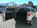 Ford EcoSport 1,0 EcoBoost Trend Beige - thumbnail 5