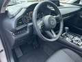 Mazda CX-30 2025 Mazda CX-30  2.5L e-SKYACTIV G HOMURA Beige - thumbnail 13