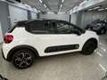 Citroen C3 1.2 puretech Feel Gpl 82cv neopatentati Blanco - thumbnail 4