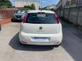 Fiat Punto 1.2 8V 5 porte Street Weiß - thumbnail 3