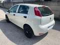 Fiat Punto 1.2 8V 5 porte Street Weiß - thumbnail 5