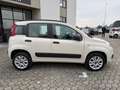 Fiat Panda Panda 0.9 TwinAir Turbo Natural Power Lounge Beige - thumbnail 3