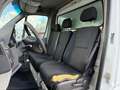 Mercedes-Benz Sprinter Sprinter T43/35 311 CDI Cabinato Executive Bianco - thumbnail 13