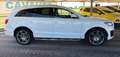 Audi Q7 3.0 TDI 240 CV Advanced Plus S Line Bianco - thumbnail 12