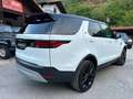 Land Rover Range Rover Discovery 3.0D I6 300 PS SE AWD Auto Blanco - thumbnail 8