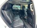 Land Rover Range Rover Discovery 3.0D I6 300 PS SE AWD Auto Blanco - thumbnail 13