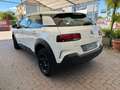 Citroen C4 Cactus Live 1.5 Blue HDi 100 Bianco - thumbnail 6