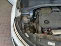 Citroen C4 Cactus Live 1.5 Blue HDi 100 Bianco - thumbnail 19