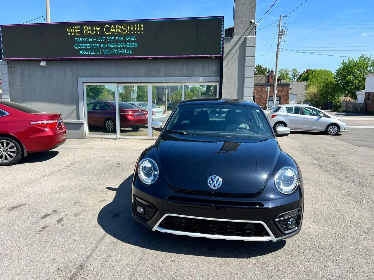 Volkswagen Beetle снимка Volkswagen Beetle