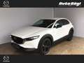 Mazda CX-30 CX-30 2,5 e-SKYACTIV-G 140 M Hybrid Homura  Navi Blanc - thumbnail 1