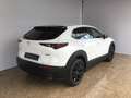 Mazda CX-30 CX-30 2,5 e-SKYACTIV-G 140 M Hybrid Homura  Navi Blanc - thumbnail 4