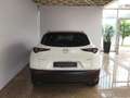 Mazda CX-30 CX-30 2,5 e-SKYACTIV-G 140 M Hybrid Homura  Navi Blanc - thumbnail 5