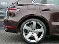 Porsche Macan 2.0 PANO SPORT-DESIGN APPROVED Braun - thumbnail 7