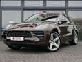 Porsche Macan 2.0 PANO SPORT-DESIGN APPROVED Braun - thumbnail 2