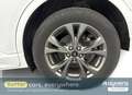 Ford Kuga 2.5 Duratec PHEV - thumbnail 5