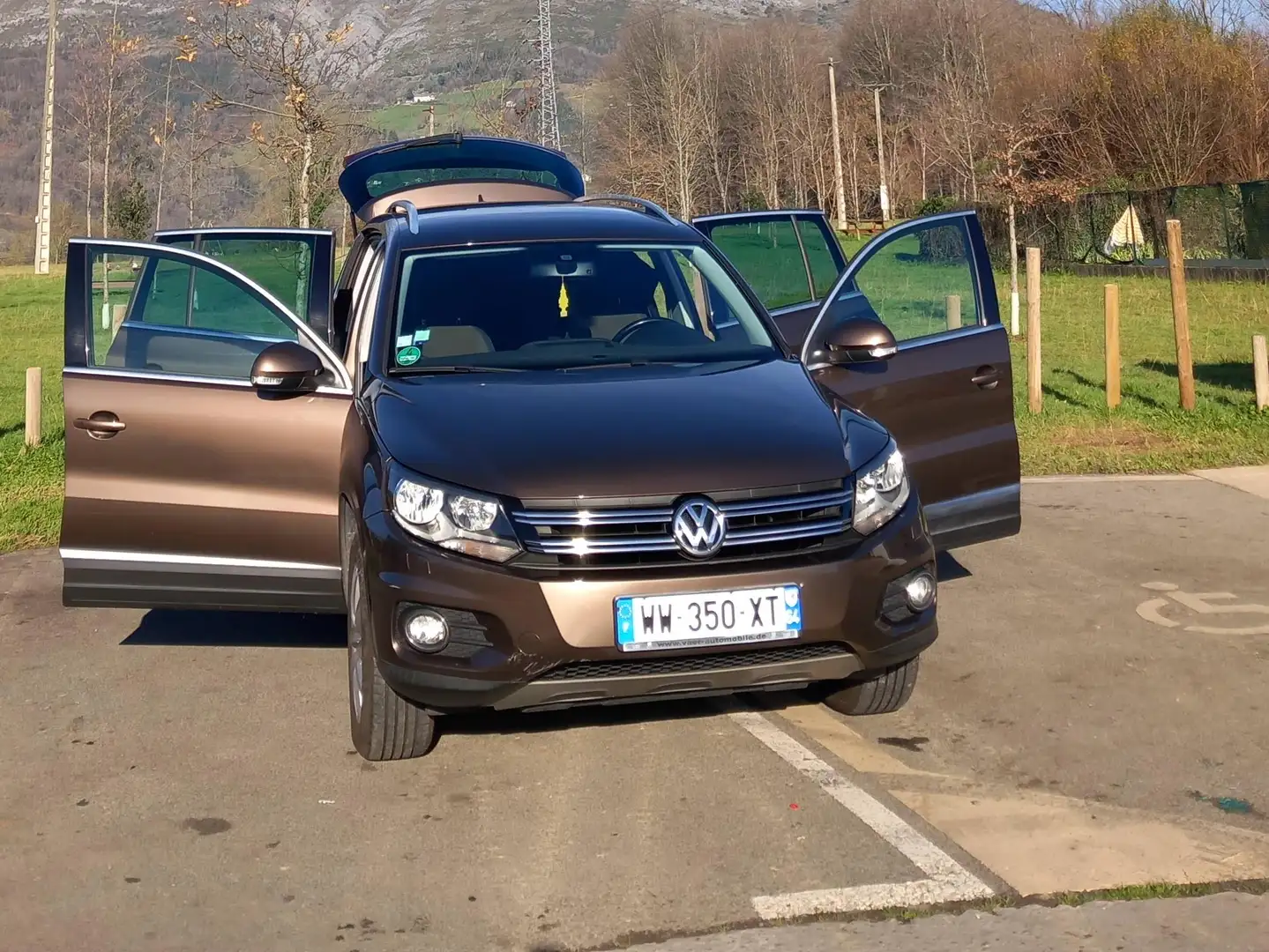 Volkswagen Tiguan Tiguan 2.0TDI BMT Sport 4Motion 140 Sport Bronce - 2