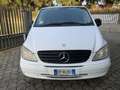 Mercedes-Benz Vito vito 2 as (w639)(03-10) vito 2,2 109 CDI  PC - TN - thumbnail 2