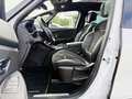Renault Scenic IV BLACK EDITION 1,3 TCe LED, Navi, AHK, SHZ, PTS, Schwarz - thumbnail 9
