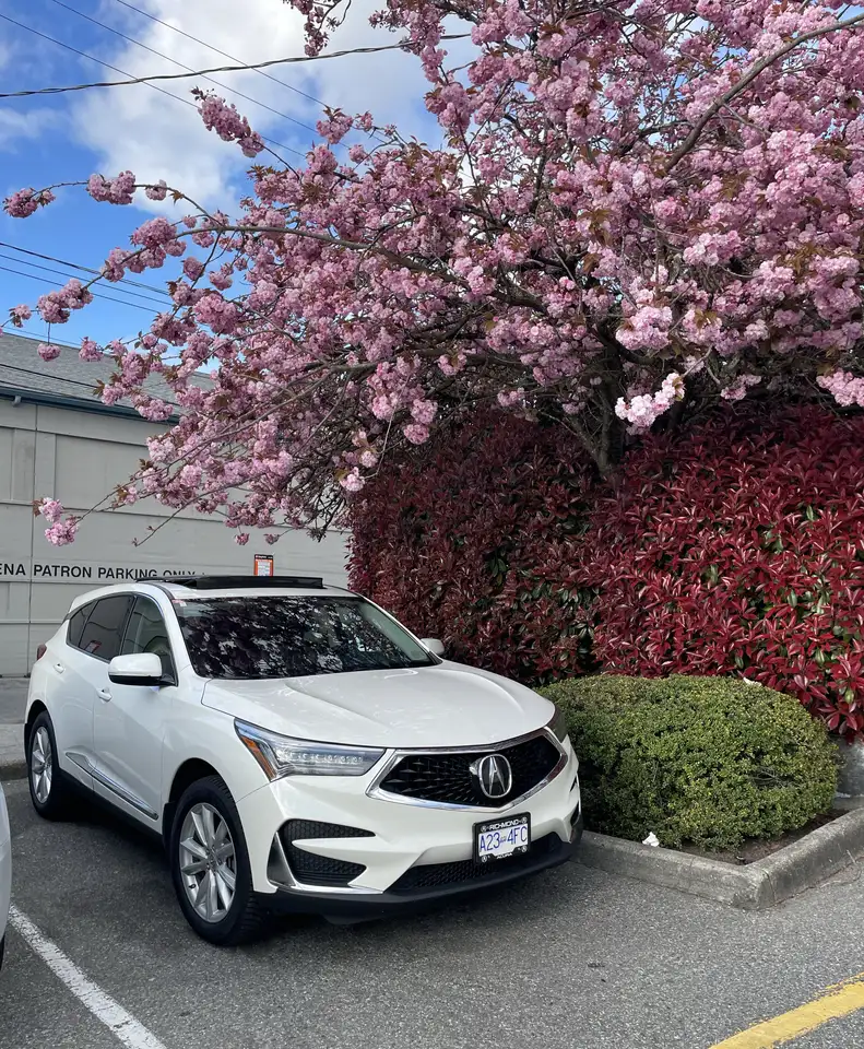   RDX