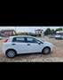 Fiat Punto 5p 1.3 mjt II 16v Street eco s&s 85cv E5+ - thumbnail 1