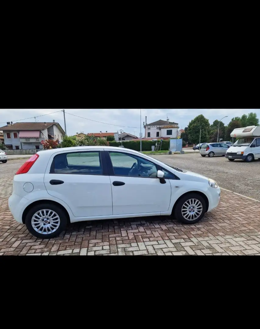 Fiat Punto 5p 1.3 mjt II 16v Street eco s&s 85cv E5+ - 1