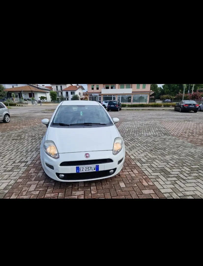 Fiat Punto 5p 1.3 mjt II 16v Street eco s&s 85cv E5+ - 2