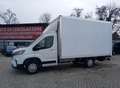 Maxus Deliver 9 Maxus Deliver 9 L3 rwd R.Sing Furgonat+Sponda Weiß - thumbnail 1