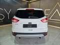 Ford Kuga 2.0 tdci Titanium 4wd s Bianco - thumbnail 6