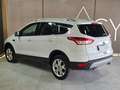 Ford Kuga 2.0 tdci Titanium 4wd s Bianco - thumbnail 7