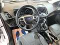 Ford Kuga 2.0 tdci Titanium 4wd s Bianco - thumbnail 8