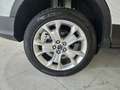 Ford Kuga 2.0 tdci Titanium 4wd s Blanco - thumbnail 22