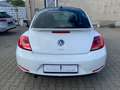 Volkswagen Beetle The Beetle Klimaaut. SHz Bluet. S-Dach Weiß - thumbnail 5