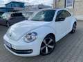 Volkswagen Beetle The Beetle Klimaaut. SHz Bluet. S-Dach Weiß - thumbnail 1