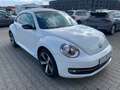 Volkswagen Beetle The Beetle Klimaaut. SHz Bluet. S-Dach Weiß - thumbnail 3